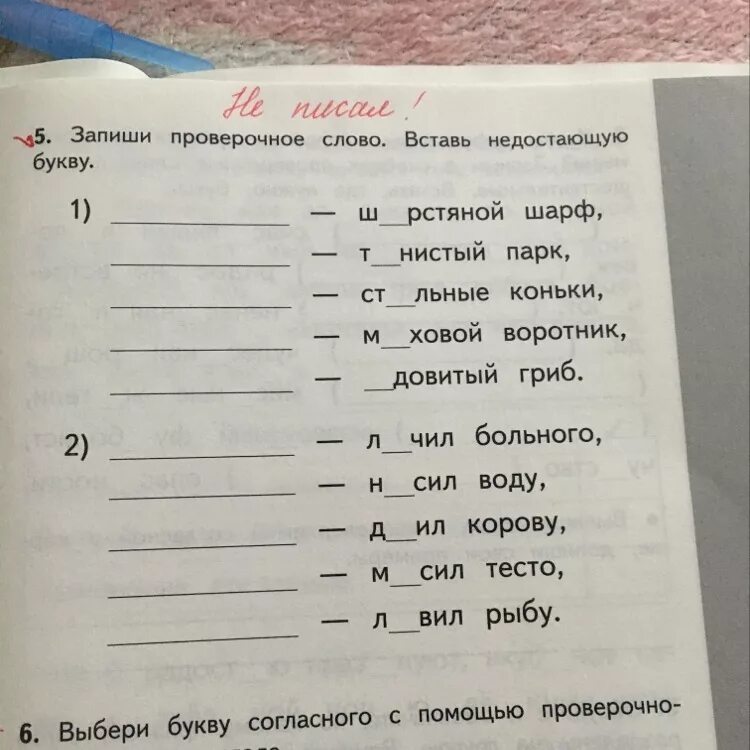 Каким словам можно подобрать проверочные слова. Проверочные слова. Как писать проверочные слова. Проверяемое и проверочное слово. Запиши проверочные слова. Буквы..