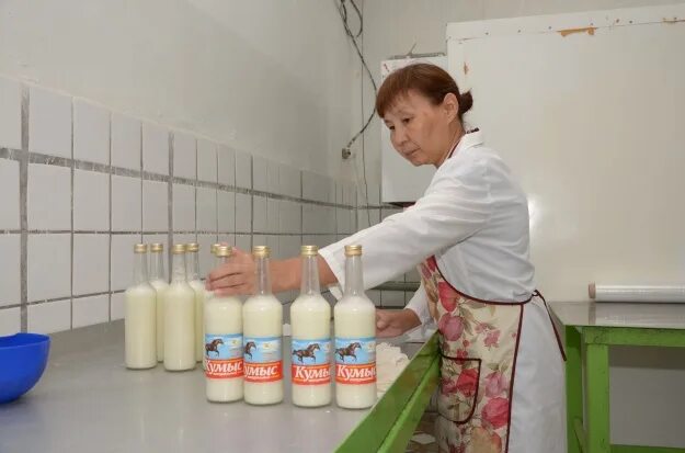 Кумыс. Приготовление кумыса. Технология производства кумыса. Сообщение на тему кумыс. Изготовление кумыса.