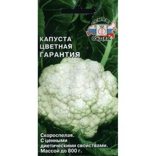 Цветная капуста сорт гарантия