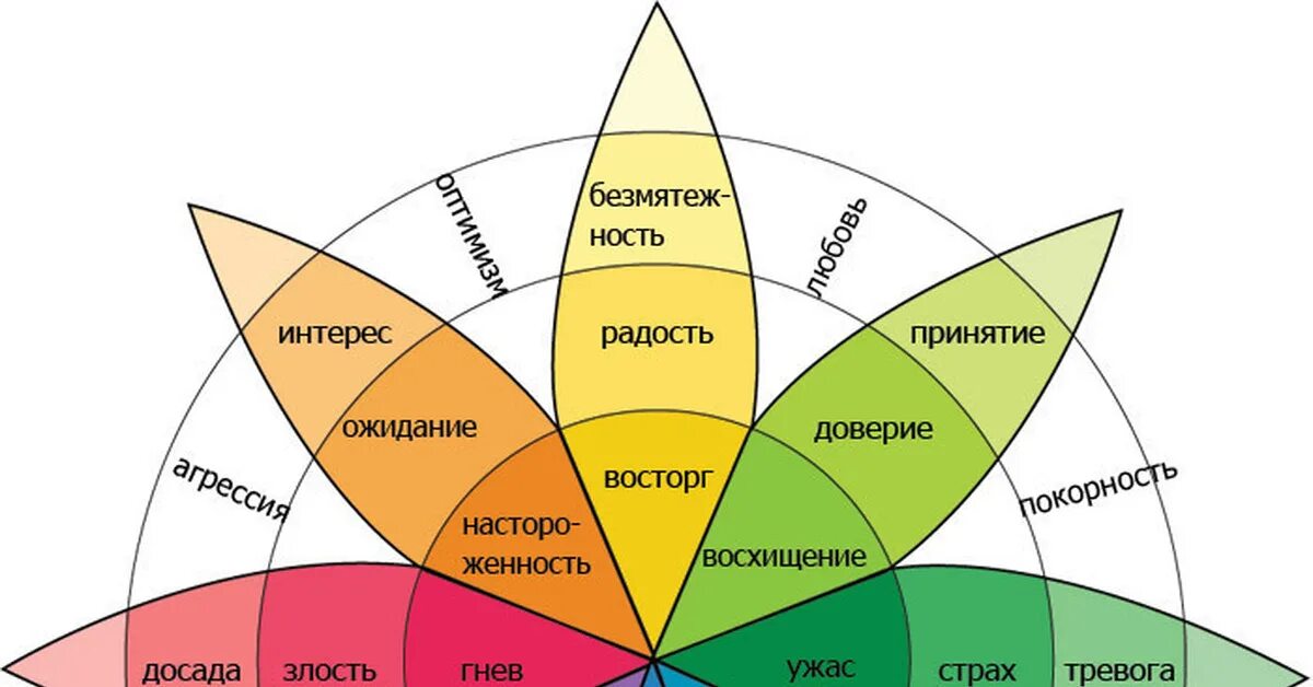 Общий круг интересов