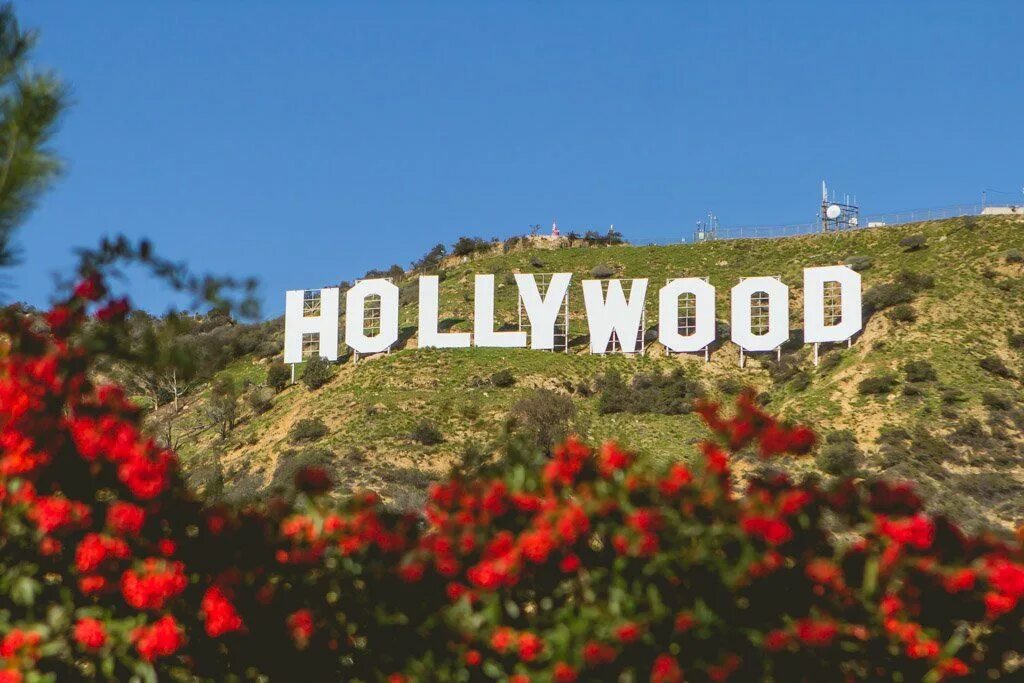 Your hollywood