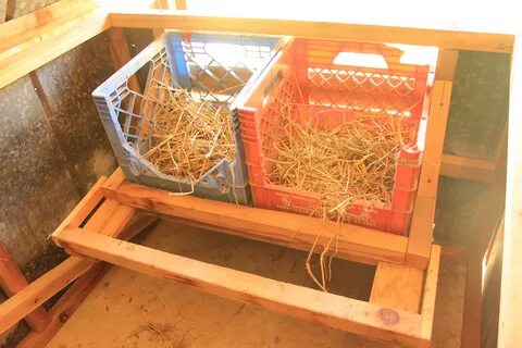 Build nesting boxes