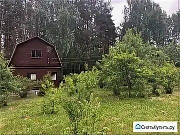 Снт заречье владимирская область