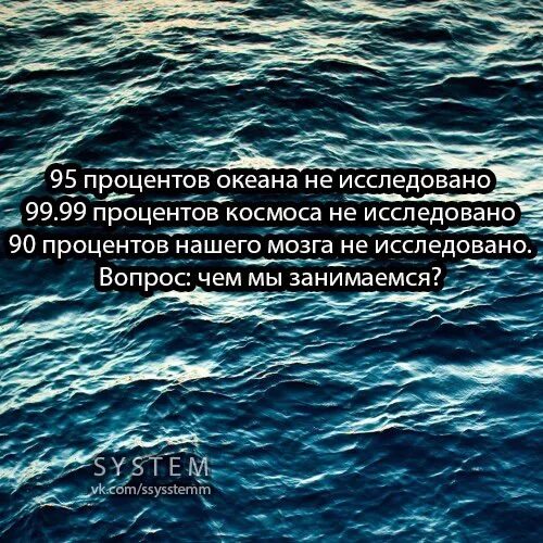 Океан изучен на 5. Океан изучен. Океан исследован на 5 процентов. Мировой океан изучен на 2 процента. Океан изучен на 7 %.