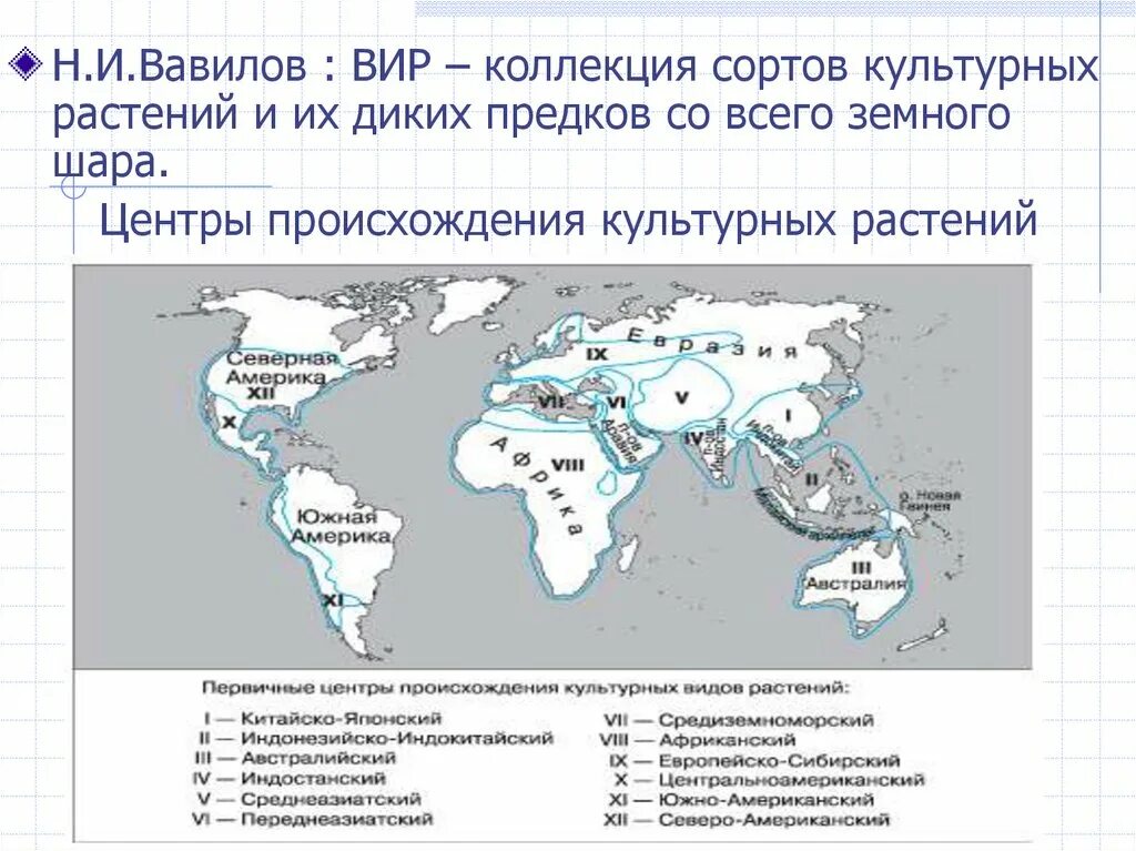 Центры многообразия вавилова. Вавилов центры происхождения культурных растений карта. Индонезийско-Индокитайский центр происхождения культурных растений. Вавилов н и центры происхождения. Тропический центр происхождения культурных растений по Вавилову.