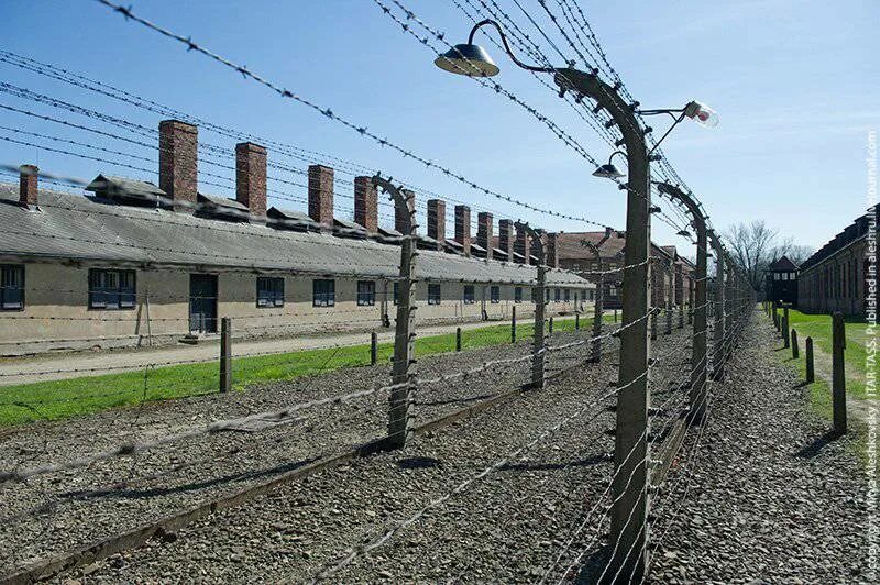 Концентрационный лагерь Аушвиц. Освенцим-Биркенау концентрационный лагерь. Лагеря Освенцим Аушвиц-Биркенау. Освенцим лагерь Биркенау. Concentration camp