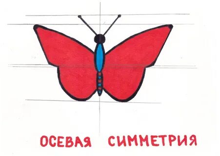 Нарисовать оси симметрии 6 класс