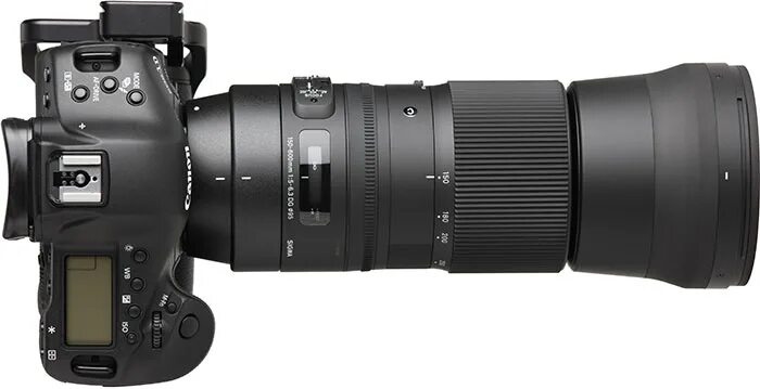 Sigma 150-600 contemporary. Tamron sp 150-600. Sigma 150-600mm canon. Sigma 150-600mm. 0-6.