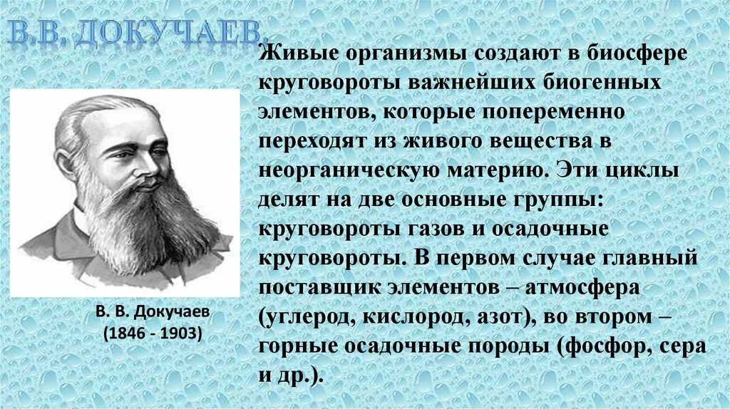 Средообразующая деятельность организмов примеры. Средообразующая роль живых организмов. Средообразующая деятельность организмов биология 9 класс. Биосфера средообразующая деятельность организмов.