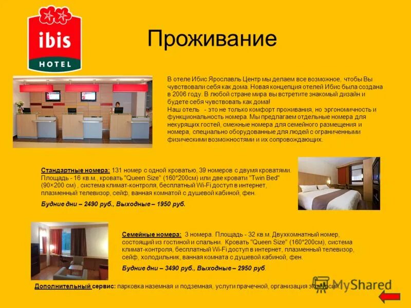 отель ибис нижний новгород. доктор столяров лор. ибис наркология. ибис птица мифы. птица красноногий ибис рисунок.