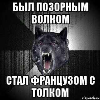 Волки позорные откуда