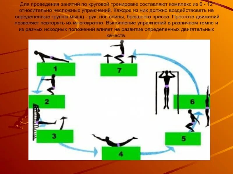 Комплекс упражнений с использованием метода круговой тренировки. Круговая тренировка на уроках физической культуры 2 класс. Схема круговой тренировки. Алгоритм круговой тренировки. Метод круговой тренировки комплекс упражнений.