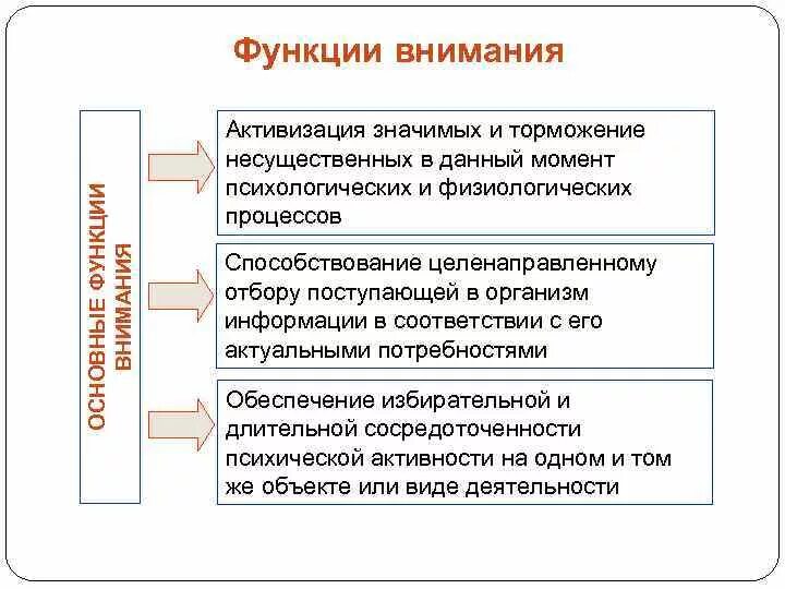 Развитие функции внимания. Функции внимания в психологии. Психологические процессы внимание. Функции внимания таблица. Процессы внимания в психологии.