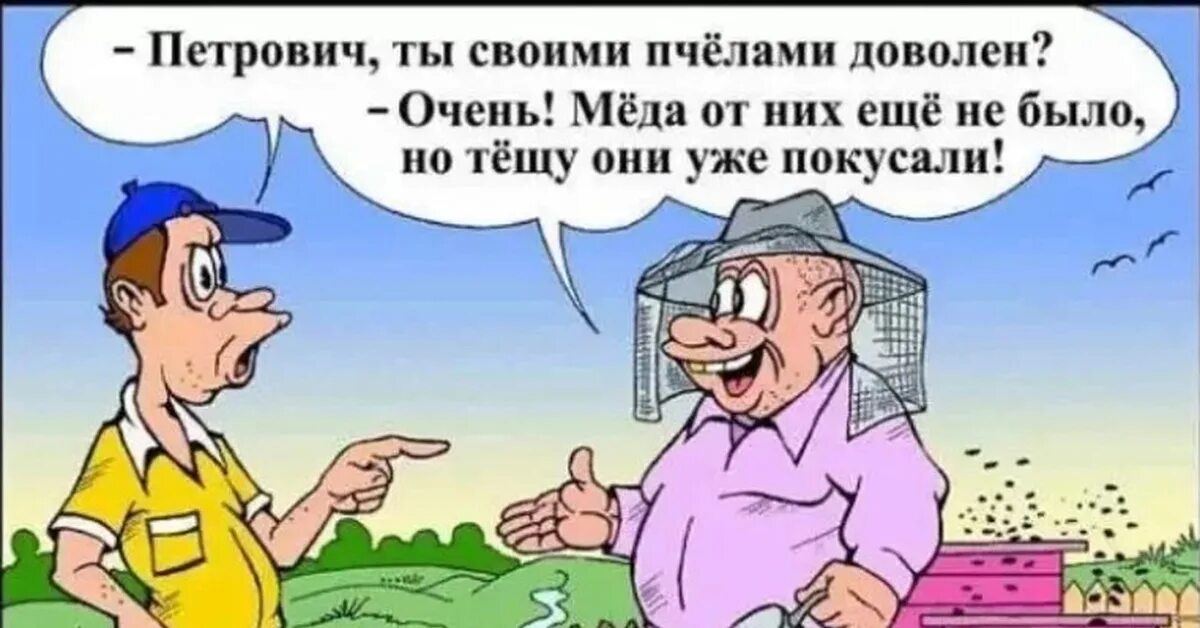 Анекдоты про Петровича. Анекдоты самые смешные. Анекдот про пасеку. Петрович прикол.