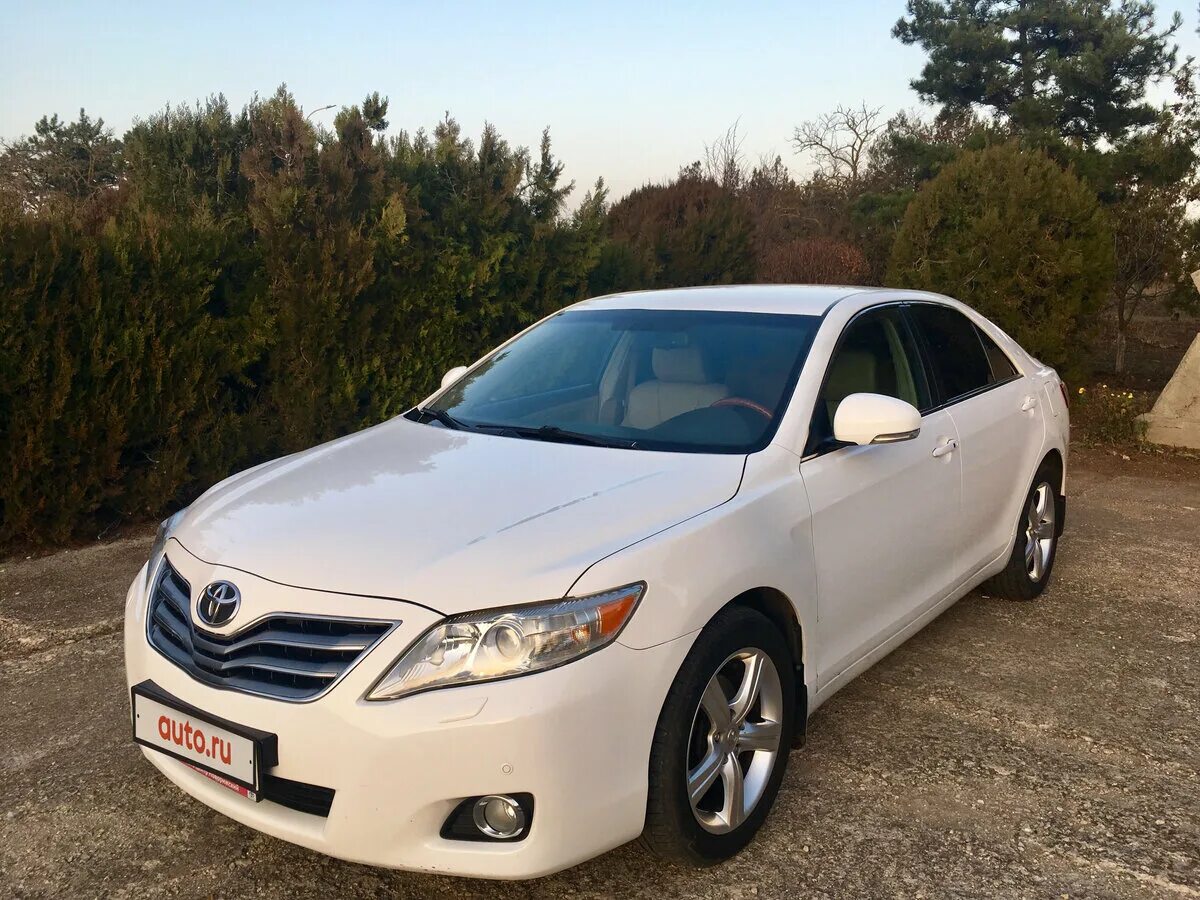 Тойота камри купить бу в россии. Toyota Camry 2010. Тойота Камри белая 2010. Камри белая 2010. Тойота Камри 2010 года белый.