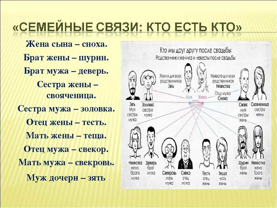 Сноха кто она. Кем приходится жена сына его родителям. Название родственных связей в семье. Схема родственников. Схема родственных связей в семье.