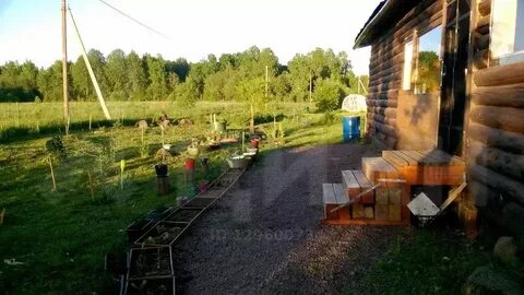Погода мшинская на 10 дней
