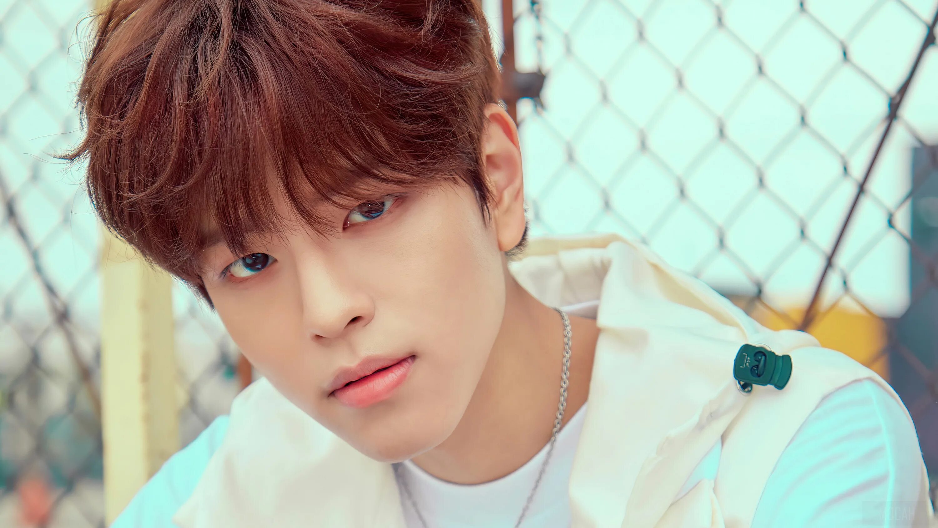 Ли мин хо 2021. Ли мин хо 2013. Min year. Юнги бтс 2020 фотосессия. Min year.