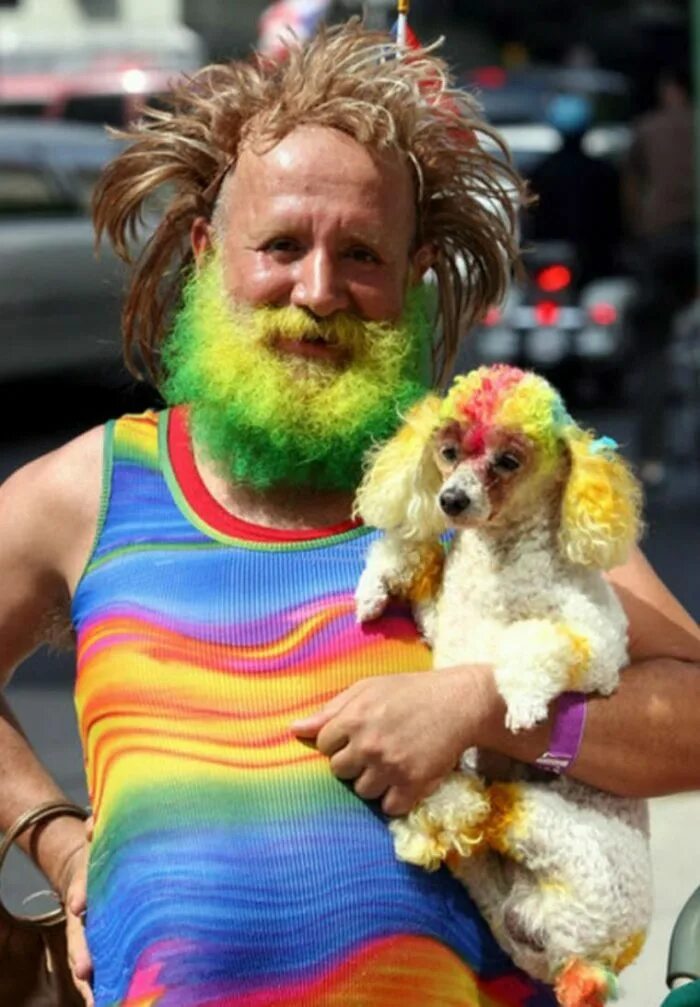 веселый человек. необычные ситуации. самые смешные звери. смешные животные картинки. самое смешное на свете.