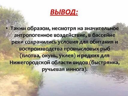 Таким образом несмотря на