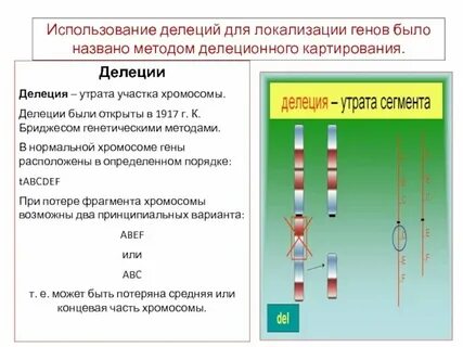Потеря участка 4 хромосомы