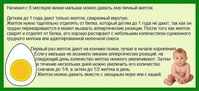 Как давать желток ребенку. Желток для прикорма грудничка. С какого возраста можно давать ребёнку яйцо. Как довать ребёнку в 7 месяцев желток.