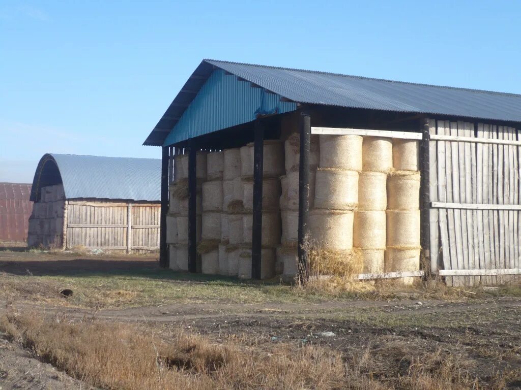 россия контрихуманс. казанское ханство countryhumans. германия и 3 рейх countryhumans шип 18 +. кантрихуманс рейх. а001кх05.