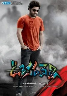 Хамелеон 2011