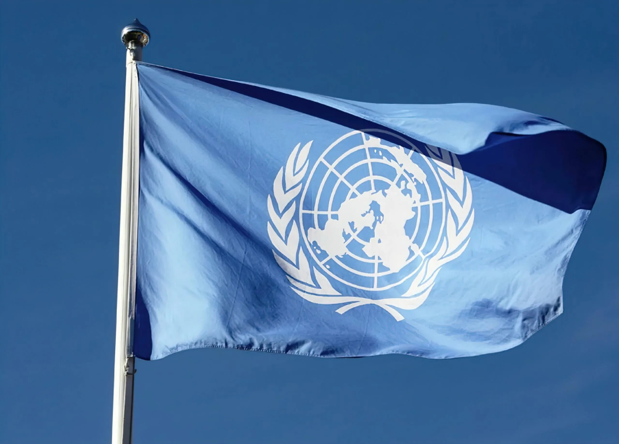 Организация Объединенных наций (ООН). Совет ООН флаг. Международные организации ООН. Совбез ООН флаг. Около оон
