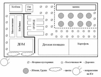 Схема расположения деревьев