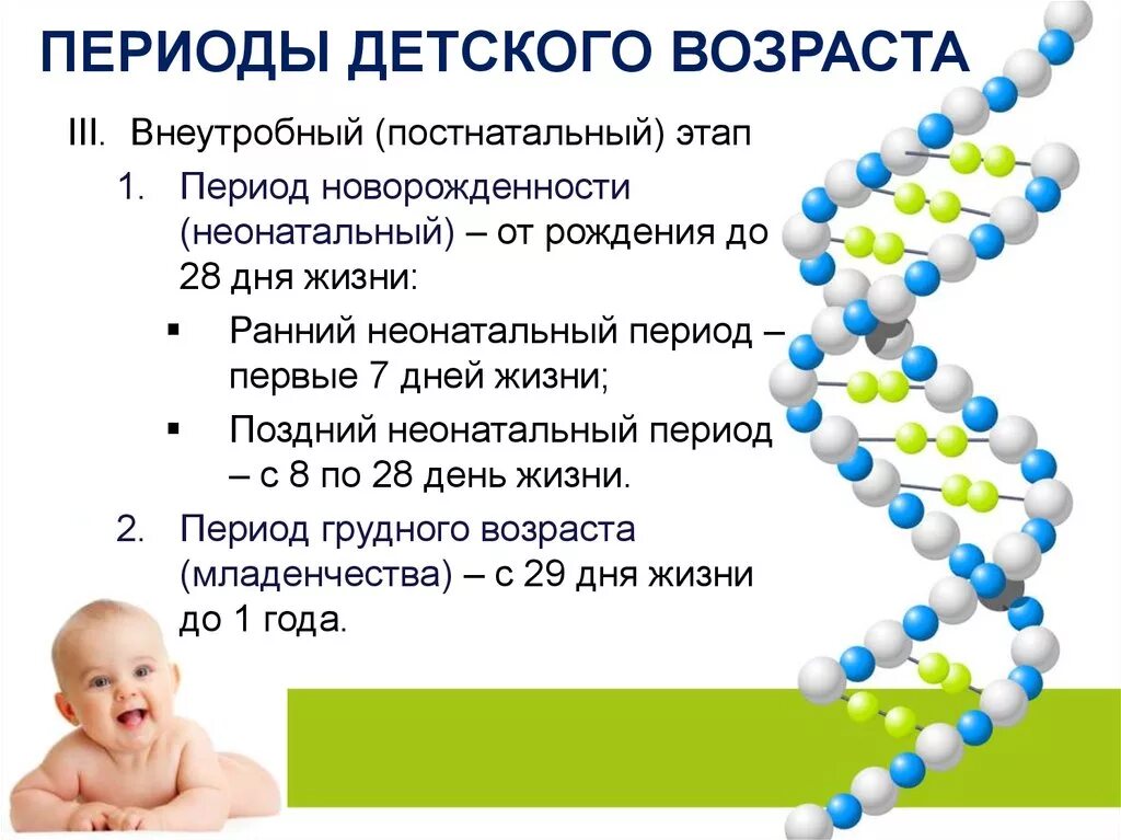 Перериоды детского возраста. Периодизация детского возраста. Периоды возраста детей. Периоды детского возраста презентация.