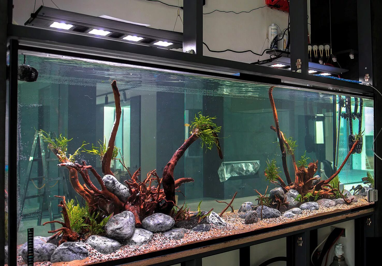 уборка аквариума. промывка в аквариуме. обслуживание аквариумов в москве. чистка аквариума. аквариумист.