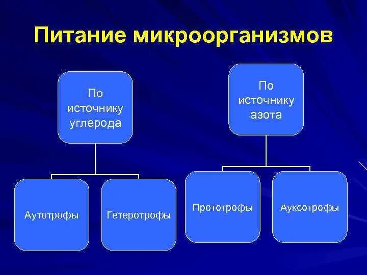 Какой тип питания характерен для большинства представителей