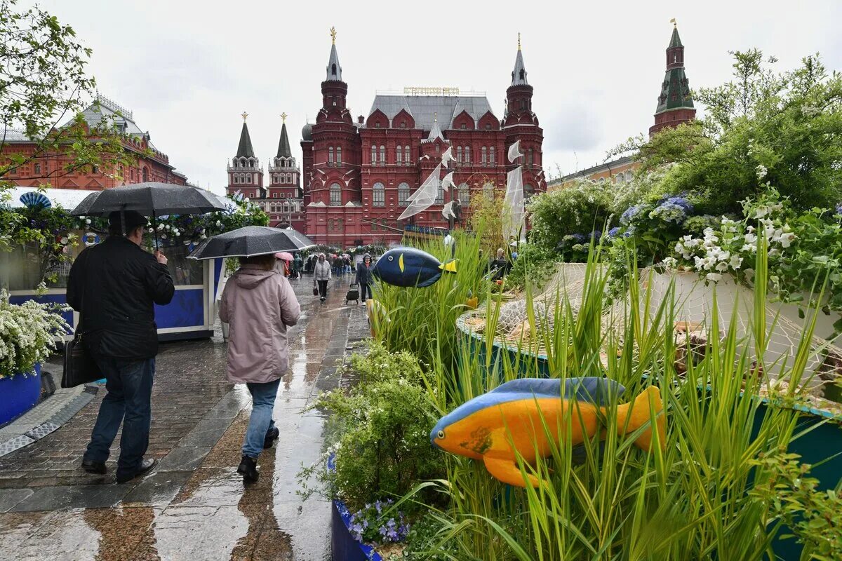 Московская неделя сегодня. Манежная площадь рыбный фестиваль. Фестиваль Рыбная неделя в Москве. Рыбная неделя площадь революции. Рыбная неделя в Москве 2023.