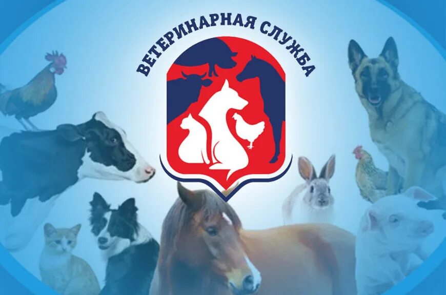 Надзор животных