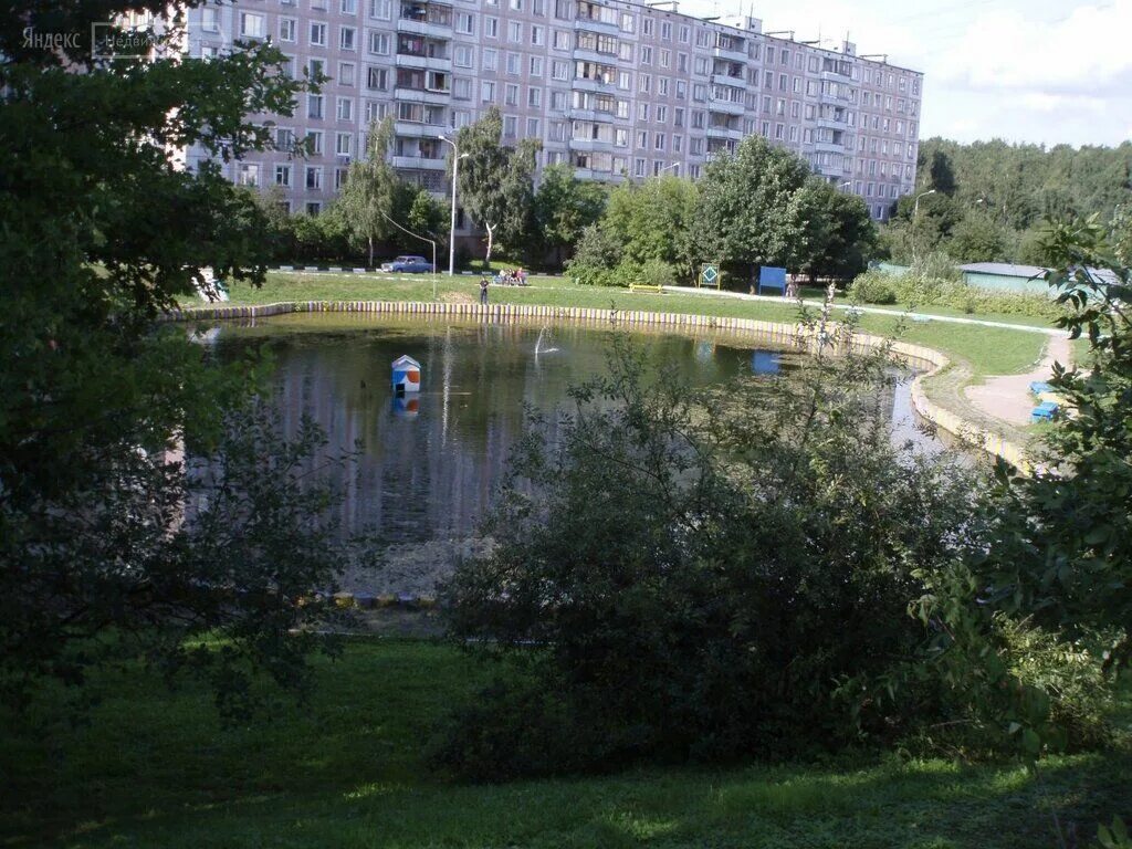 Ул ясенево 8. Соловьиный пруд Ясенево. Ясенево улица Рокотова. Ясенево пруд Битцевский парк. Парк Ясенево в Москве.