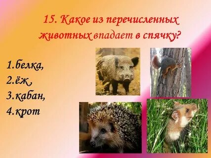 Какое из перечисленных животных во взрослом