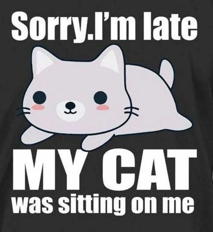 It s my cat. Sorry i`m late. I'M sorry i'm late. I`M sorry Cat. I am a Cat.