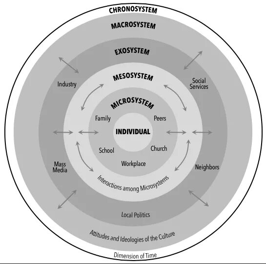 Systems theory. Модель экологических систем Ури Бронфенбреннера. Social ecological Theory. System Theory. Микросистема мезосистема экзосистема макросистема.