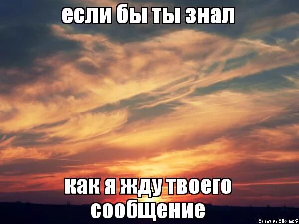 Сообщение знаю