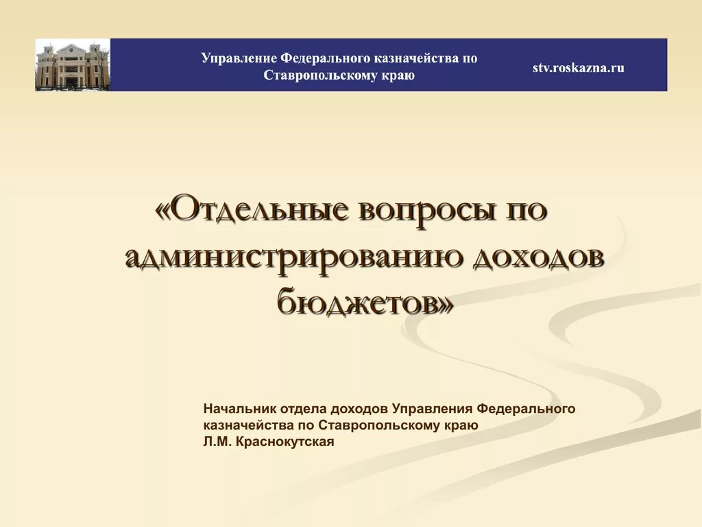 Вопросы казначейства. Вопросы по администрированию доходов. Отдел администрирования доходов. Амнистирование доходов это. Презентация бюджета руководителю.