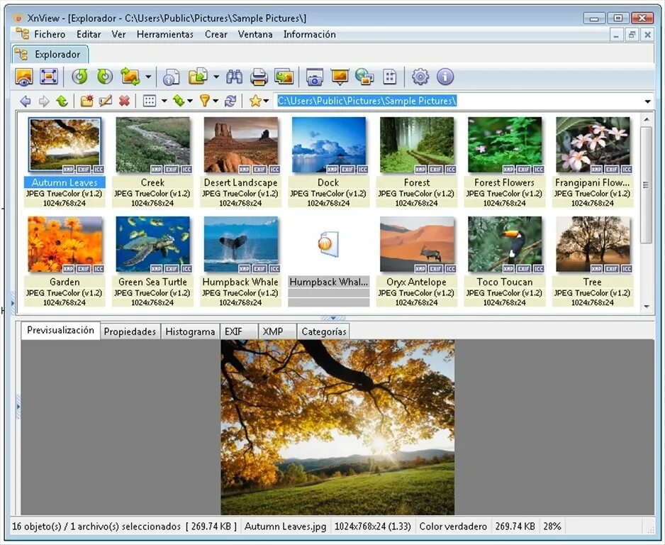 Xnviewer