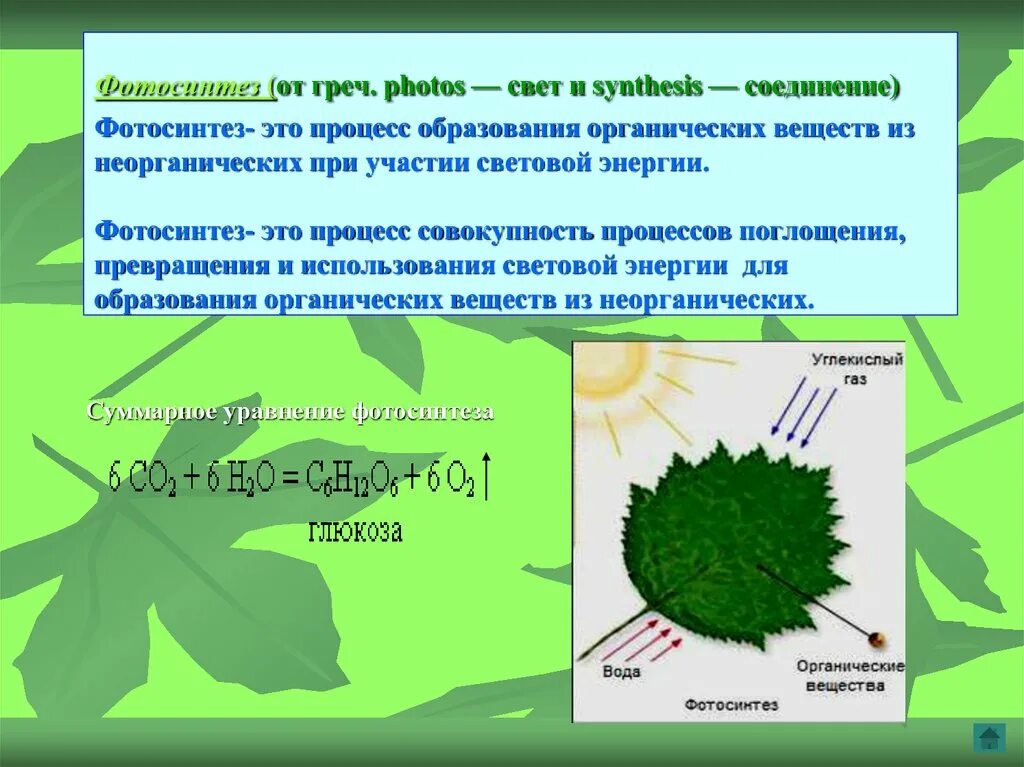 В результате фотосинтеза кислород