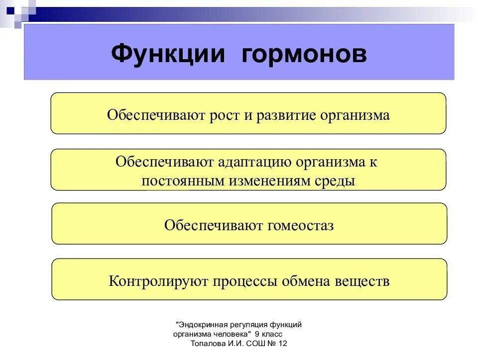 Какую функцию выполняют гормоны в организме. Функции гормонов. Функции гормонов в организме человека. Перечислите функции гормонов.