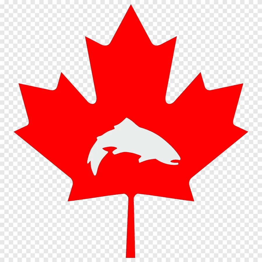 Лист канадского клена. Кленовый лист на флаге Канады. Красный кленовый лист Канада. Клен на флаге Канады. Символ Канады кленовый лист.