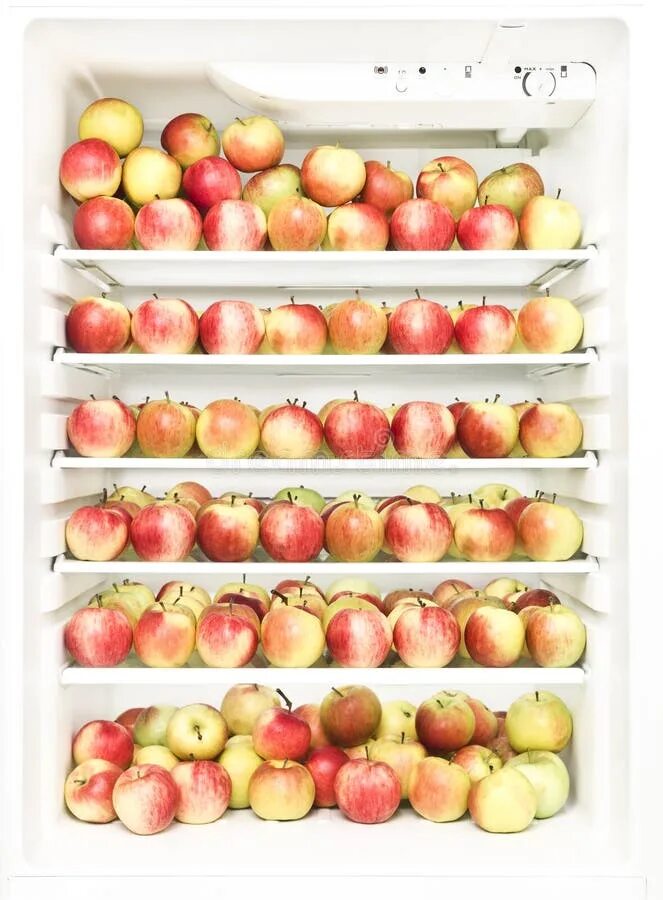 Сколько яблок в холодильнике. Яблоки в холодильнике. Холодильник Apple. Холодильник яблочный холодильник яблочный холодильник. Яблоко в магазине холодильник.