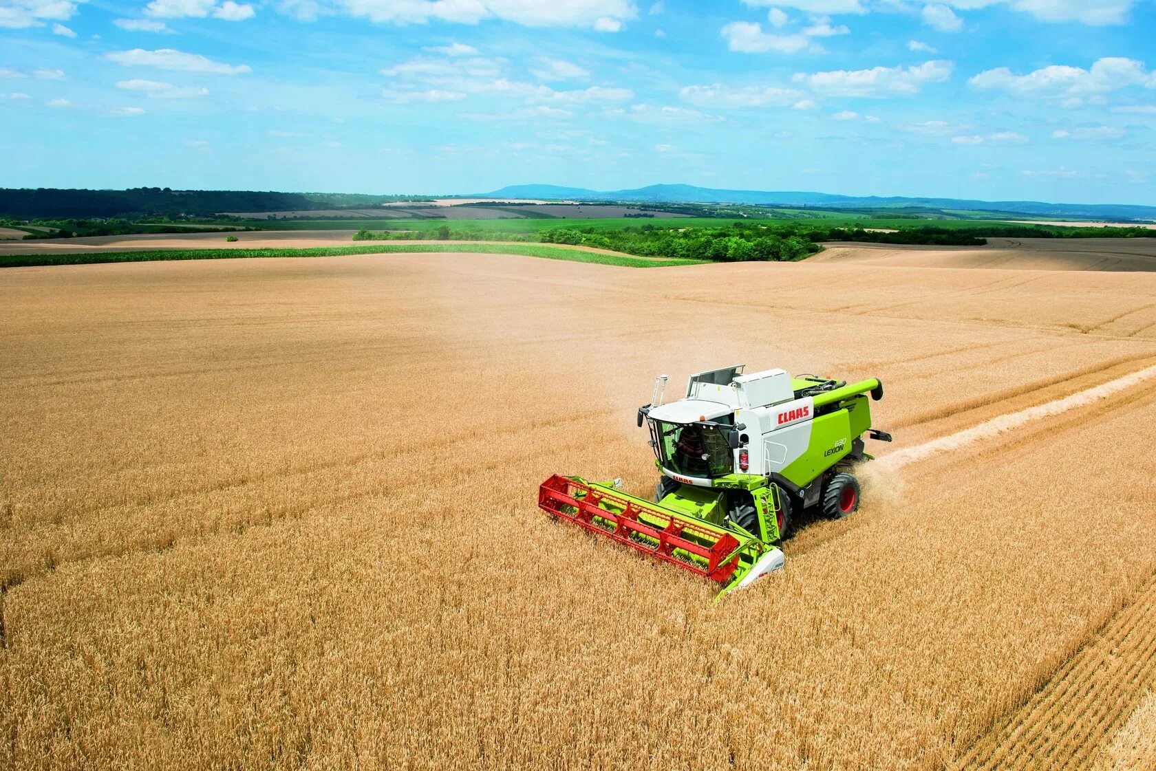 поле пшеницы комбайн. пшеница комбайн. фарм харвестер комбайн. поле сельское хозяйство. поле пшеницы комбайн claas.