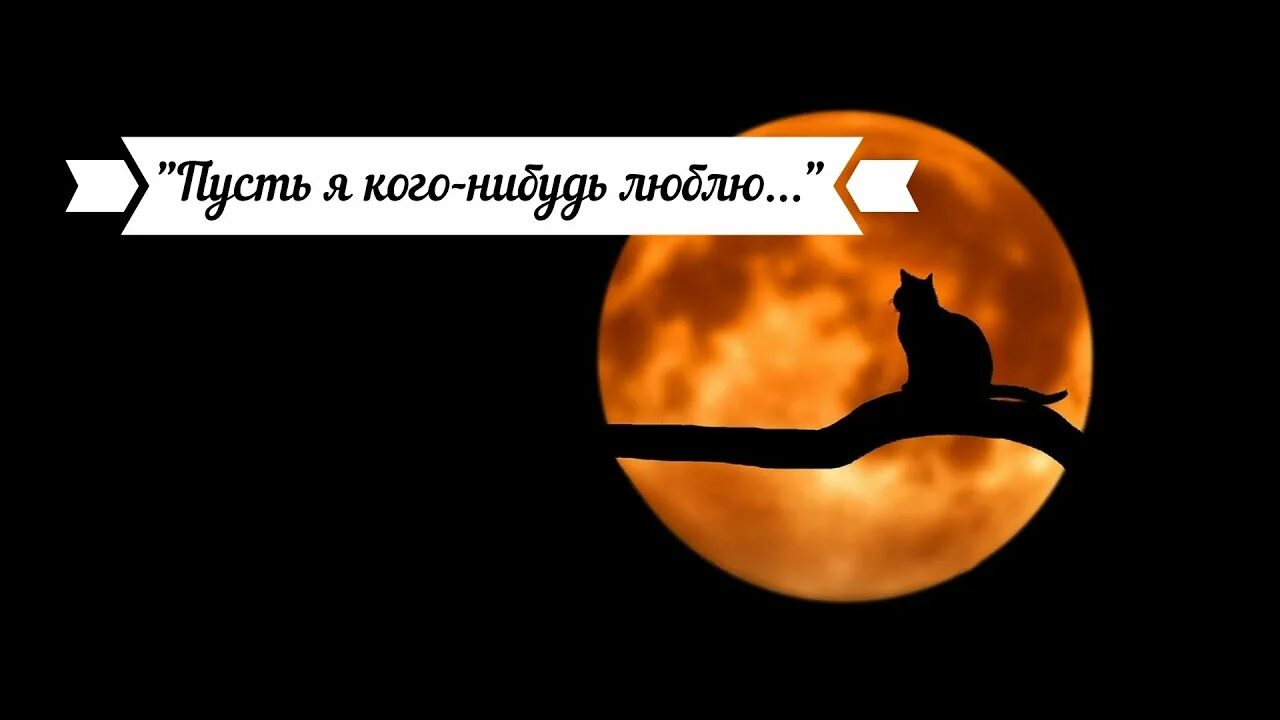 Пусть я кого нибудь люблю лермонтов. Пусть я кого нибудь люблю любовь не красит жизнь мою. михаил лермонтов пусть я кого-нибудь люблю. пусть я кого-нибудь люблю.