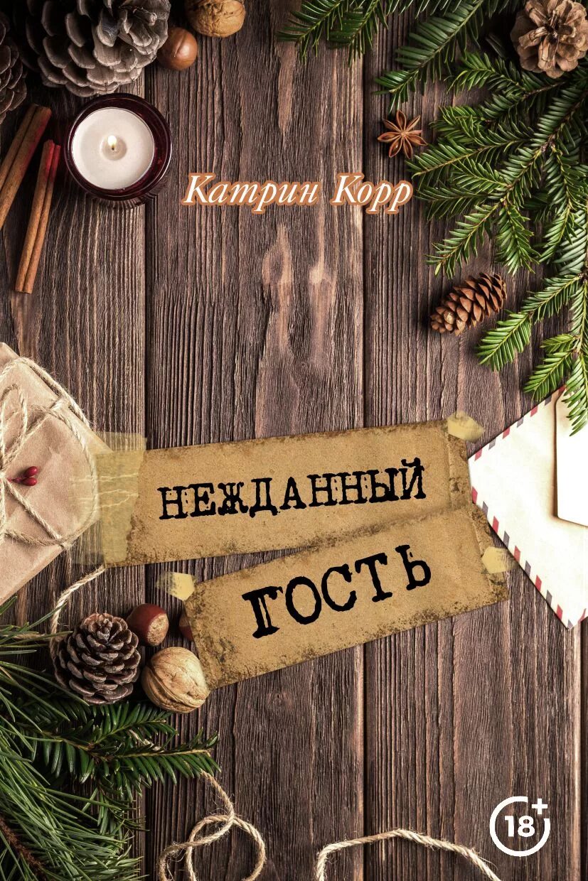 Нежданные гости книга. Нежданная гостья. Катрин корр. Нежданная гостья. Нежданные гости книга.