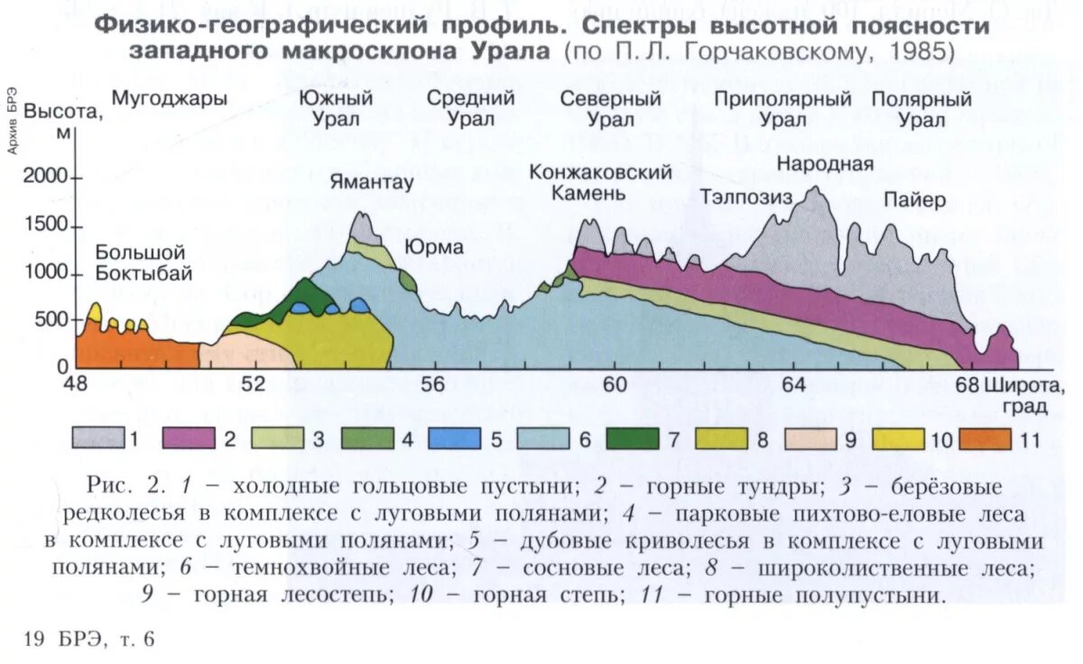 Природные пояса гор урала. Высотная поясность уральских гор гор. Природные зоны на Урале ВЫСОТНОЙ поясности. Высотное поястност Уральские горы. Высотная поясность в горах Урала.